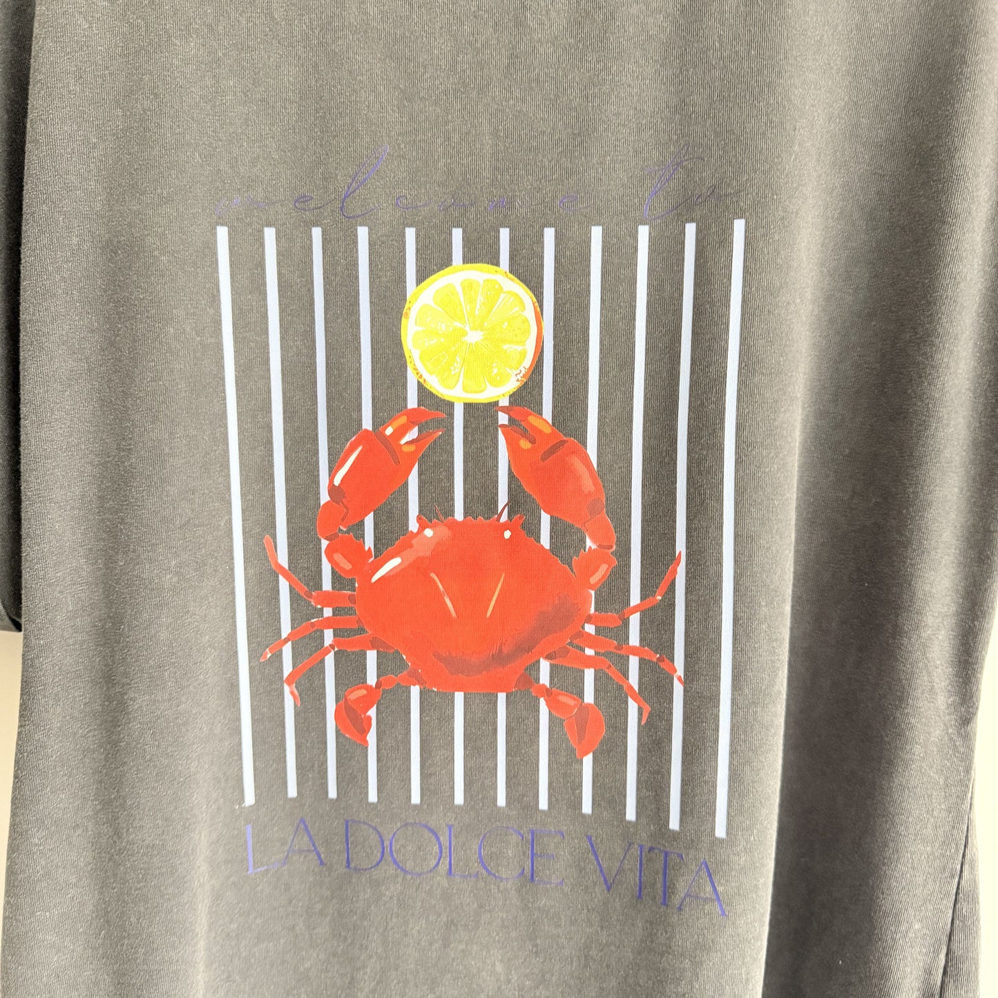 Camiseta Cangrejo Dolce Vita negro lavado